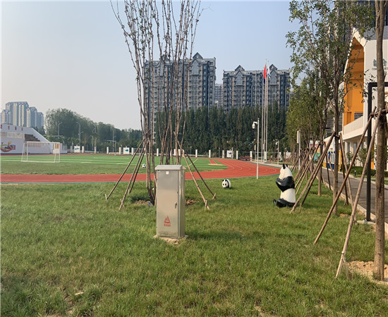 市政廣場(chǎng)綠化